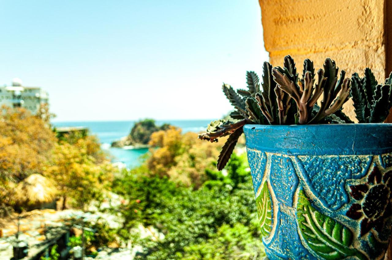 Hotel Capy Puerto Angel Luaran gambar
