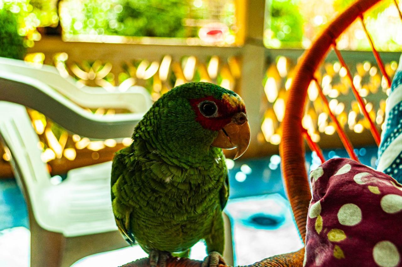 Hotel Capy Puerto Angel Luaran gambar